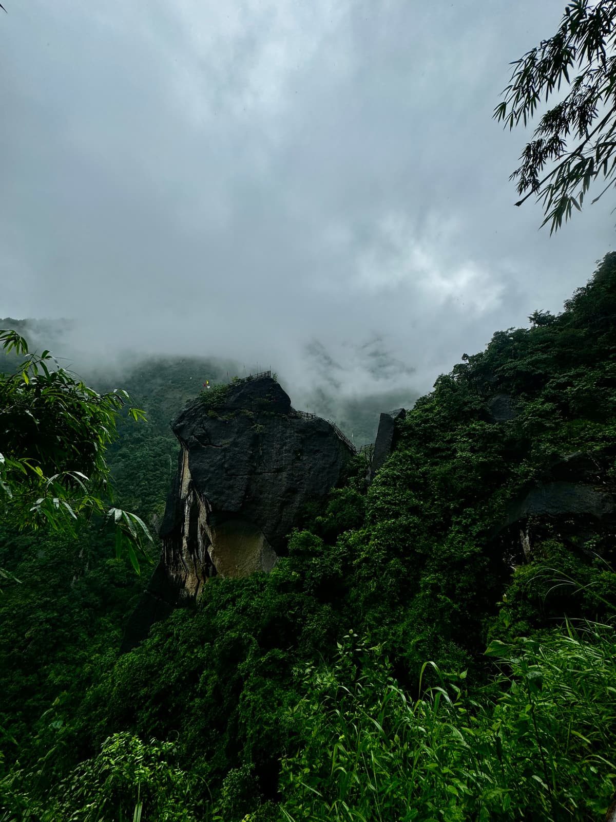 Bamboo trek in Meghalaya